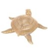 Signes Grimalt By Sigris - Figuras Decorativas | Figura Forma de Tortuga, Modelo 2