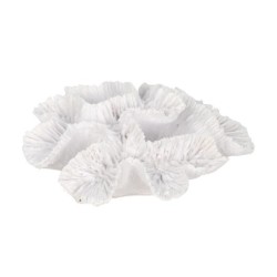 ORIGEN Home Decor Figura Coral Marinero | Figura Marinera Blanco - 5x15x13cm