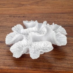 ORIGEN Home Decor Figura Coral Marinero | Figura Marinera Blanco - 5x15x13cm