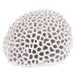 ORIGEN Home Decor Figura Coral Jarrones Y Portavelas | Figura Marinera Blanco - 10x15x14cm