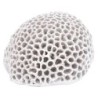 ORIGEN Home Decor Figura Coral Jarrones Y Portavelas | Figura Marinera Blanco - 10x15x14cm