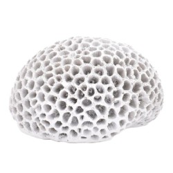 ORIGEN Home Decor Figura Coral Jarrones Y Portavelas | Figura Marinera Blanco - 10x15x14cm