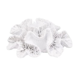 ORIGEN Home Decor Figura Coral Jarrones Y Portavelas | Figura Marinera Blanco - 5x16x13cm