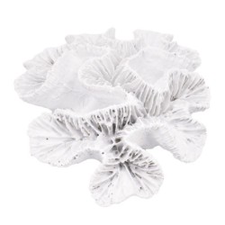 ORIGEN Home Decor Figura Coral Jarrones Y Portavelas | Figura Marinera Blanco - 5x16x13cm