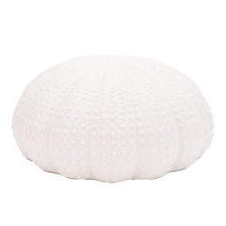 ORIGEN Home Decor Figura Coral Jarrones Y Portavelas | Figura Marinera Blanco - 12x25x25cm