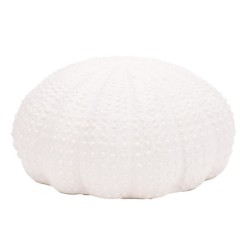 ORIGEN Home Decor Figura Coral Jarrones Y Portavelas | Figura Marinera Blanco - 12x25x25cm