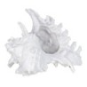 ORIGEN Home Decor Concha Marinero | Figura Decorativa Blanco - 12x20x17cm