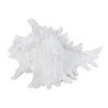 ORIGEN Home Decor Concha Marinero | Figura Decorativa Blanco - 12x20x17cm