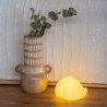 ORIGEN Home Decor Concha Luz Lamparas | Figura Marinera Crudo - 8x13x9cm