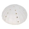 ORIGEN Home Decor Led Anemona Lamparas | Figura Marinera Blanco Ovalado - 7x12x12cm