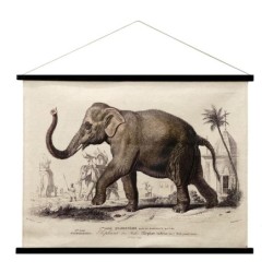 ORIGEN Home Decor Lienzo Enrollable Elefante Cuadros Crudo Rectangular 75x100x2cm