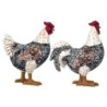 By SIGRIS Figura Gallina 2 Unidades Negro de Resina 20*8*17cm Set de 2 Unidades Figura de Animal